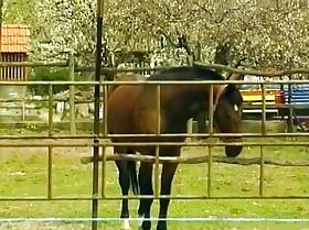 Redhead German slattern assfucked just about the stable