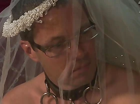 tied up groom has to watch his wife fuck hard cocks
