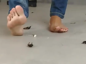 Barefoot cockroach crush - Jocelyn
