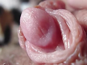 Milf With regard to Hairy Pussy Ribbing Will not hear of Slimy Clit Ultra-closeup